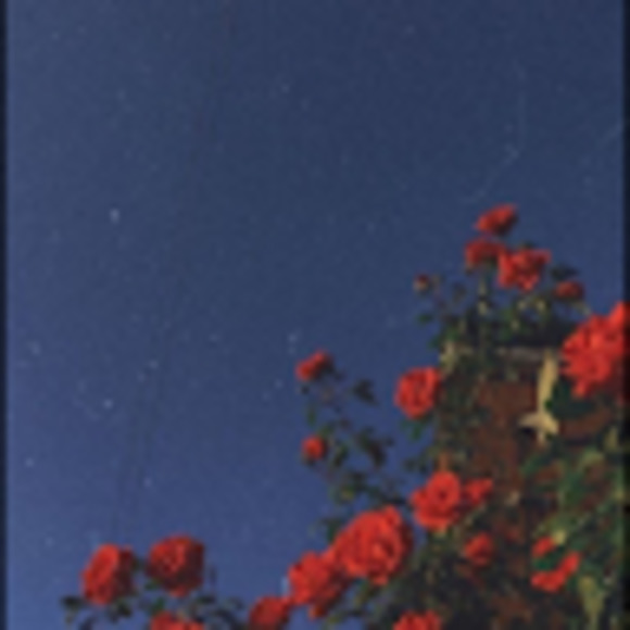 Meet your Posher, Paiten - Picture 1 of 1